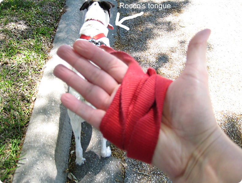 hand