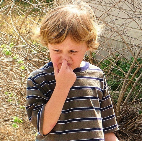 [nolanpickingnose4.jpg]