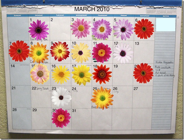March 2010