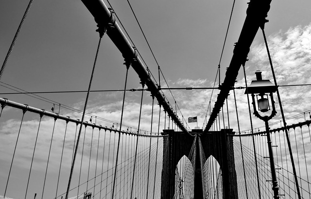 [brooklynbridge34.jpg]