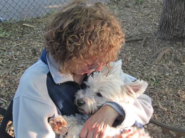 Please help Barney have the surgery to prolong his life