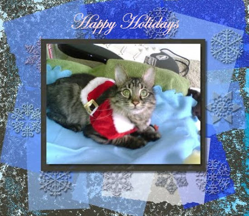 Marty Holiday