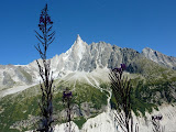 P1020298.JPG