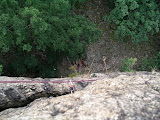 Image1.JPG
