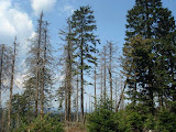 brocken_130508 (24).jpg