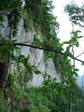 montafon_juli08 (2)SN.JPG