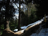 mtbdav_4508 (4)sn_.jpg