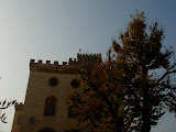 DSC05097.JPG