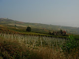 DSC05129.JPG