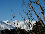 DSC05303.JPG