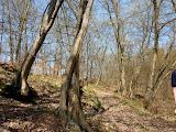 P1000102.JPG