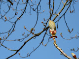 P1000122.JPG