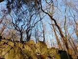 P1000466.JPG