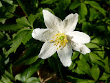 P1000293.JPG
