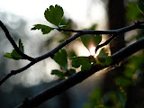 P1000477.JPG