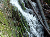 P1000428.JPG