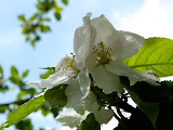 P1000628.JPG