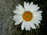 P1010083.JPG