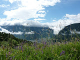 P1010050.JPG