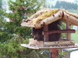 P1000791.JPG