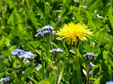 P1000905.JPG