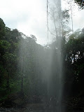 sn_18_kt (44).JPG