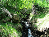 sn_apldevero_280507 (24).JPG