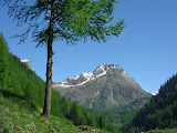 sn_apldevero_280507 (26).JPG