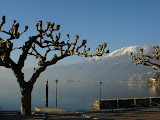 sn_asc_230208 (12).JPG