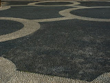 sn_asc_230208 (94).JPG