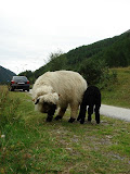 sn_brunn_20906.JPG
