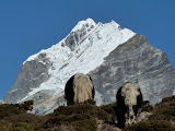 nepal_2 (887).JPG