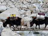 nepal_2 (942).JPG
