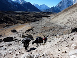 nepal_3 (347).JPG