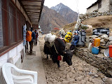 nepal_4 (171).JPG