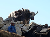 nepal_5 (40).JPG