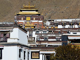 P1050566.JPG