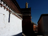 P1050603.JPG
