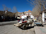 P1050675.JPG