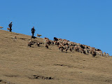 P1050925.JPG