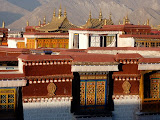 P1060039.JPG