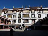 P1060104.JPG