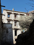 P1060125.JPG