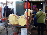P1060447.JPG