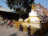 P1060617.JPG