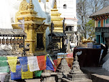 P1060733.JPG