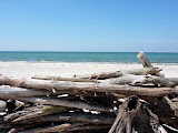 P1070800.JPG