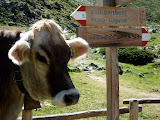 P1070861.JPG