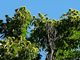 P1080158.JPG