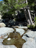 P1080177.JPG